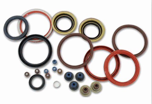 Oil Seal 2