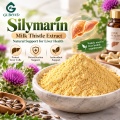 Silimarina 80% Extrato de Cardo Mariano com 30% –50% de Silibina