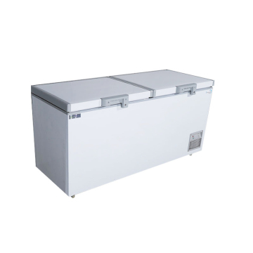 Large Capacity Horizontal Chest Freezer