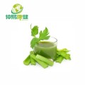 Bulk Dried Celery Powder