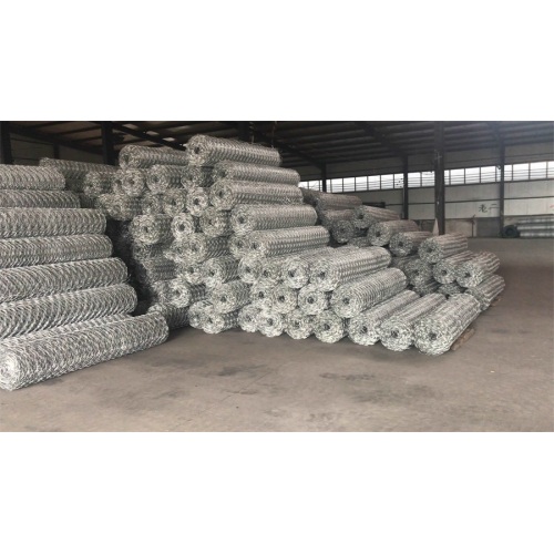 Hexagonal Netting with Electro Galvanized Electro Galvanized Hexagonal Wire Netting Manufactory