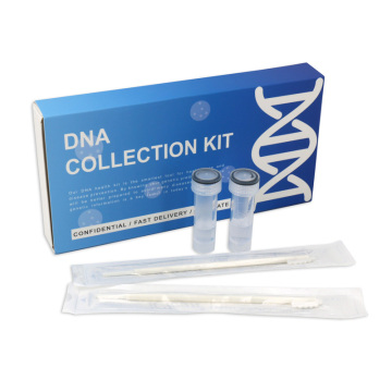 Home Use Buccal Swab DNA Colletion Test Kit for DNA Colletion and Preservation