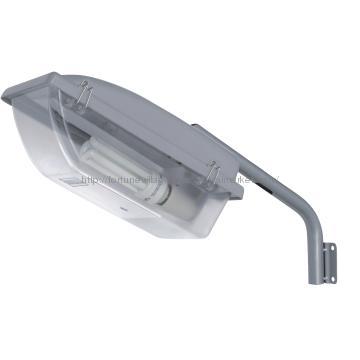 CFL Outdoor Fixture 85w