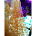 /msite/products/detail/productid/64096184/id/1555900.html