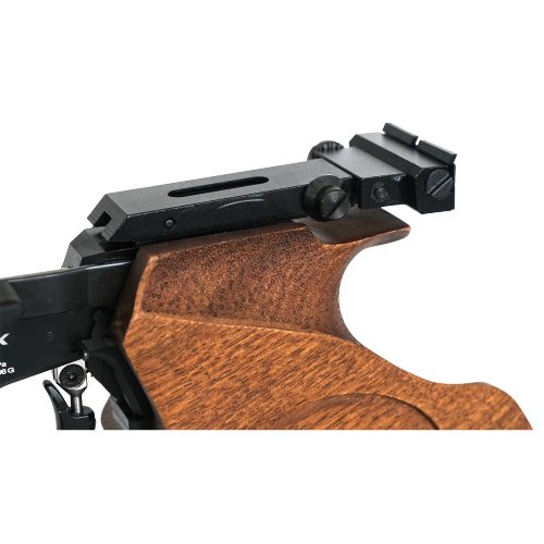 Air Pistol for Competition PP20
