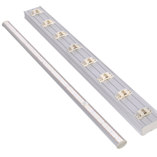 Luzes LED de LED de 800 w para a Amazon