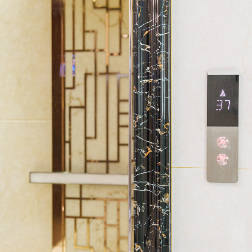 Luxury Titanium Mirror Etching Passenger Elevator