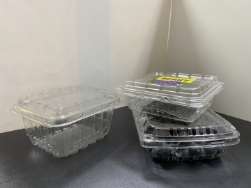 Where to Buy Fruit/Blueberries Clamshell Packaigng