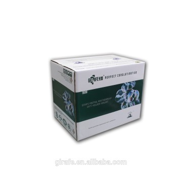 Silicone Sealant Egypt Asyut Distributor