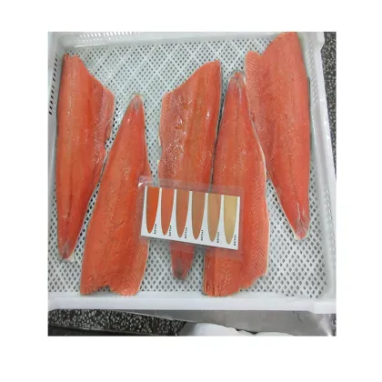 Frozen Wild Salmon Frozen Salmon Fish Fillets High Quality Frozen Salmon Sashimi