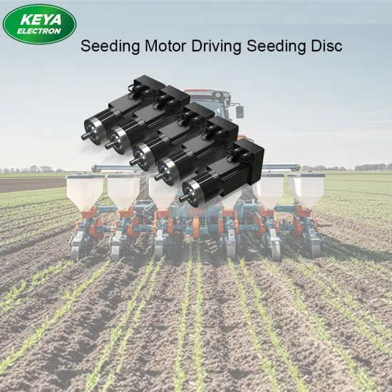 Corn/Soybean/Peanuts/Garlic Multi-row Sowing Planter Motor Driver Seeding Disc for Agriculture Seeder Machinery