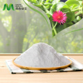 /msite/products/detail/productid/66869006/id/1501577.html