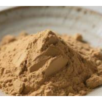Angelica Extract Powder for Dispelling Wind and Eliminating Dampness