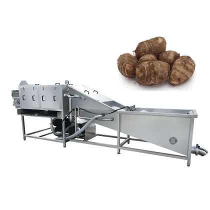 Dry and Wash Fruits and Vegetables Line: Dragon Fruit/Pitaya Washing Machine