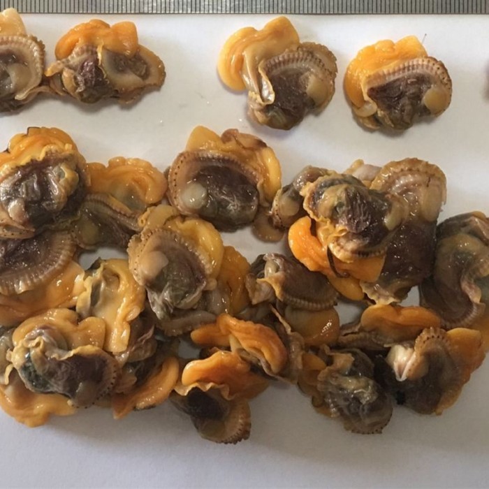 Frisches gefrorenes Muschelfleisch und blutige Blutmuscheln