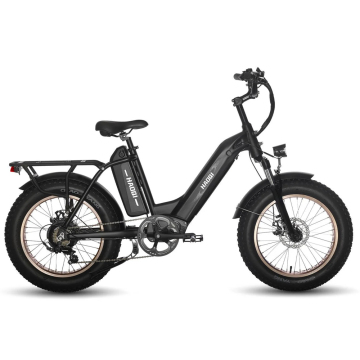 Antelope Pro 48V 25Ah Utility Fat Tire Electric Bike