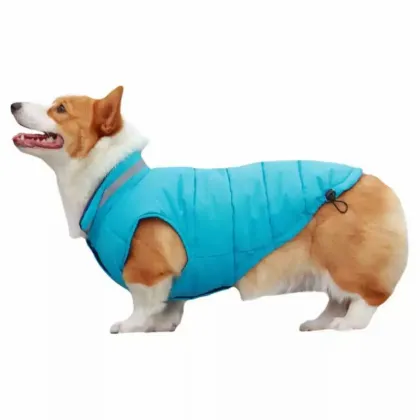Cozy Dog Winter Jacket