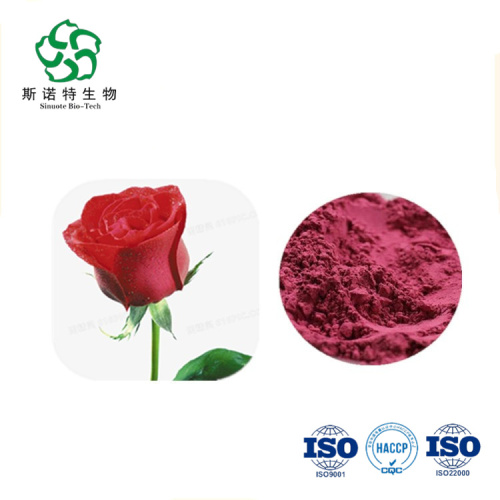 Solid Beverage Natural Rose Flower Extract Powder 10:1 Manufactory