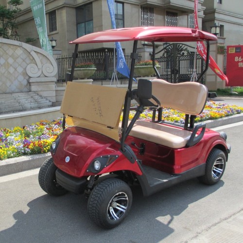 Carro de golf eléctrico de 2 plazas para campos de golf