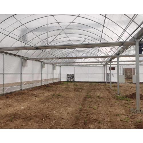 Connected Film Covered Greenhouse