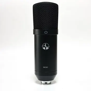 Condenser Microphone for Podcast Recording