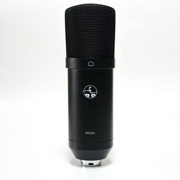 Condenser Microphone for Podcast Recording