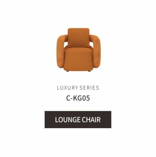 Cadeira de lounge contemporânea Cadeira de lazer elegante