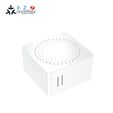 BSD17 Tooya WiFi Mesh Universal Switch with Firmware Customization and 10A Support