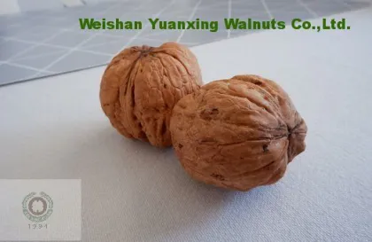 First grade Chinese Walnut Kernels Light Quarters