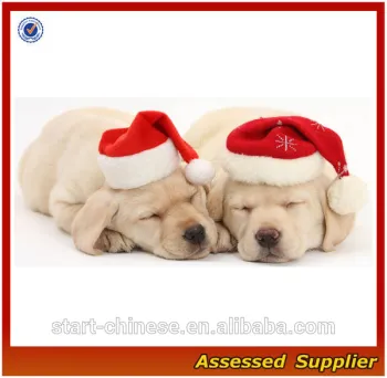 ZD540 santa christmas hats for dog wholesale