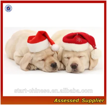 ZD540 santa christmas hats for dog wholesale