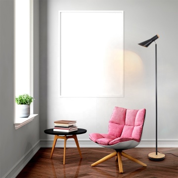 Modern Floor Lamp for Living Room and Bedroom