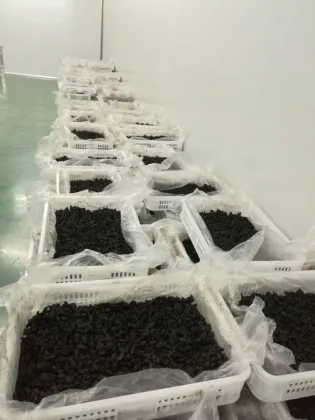 Enjoy myself Forget Leave for Black Garlic