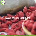 Factory Supply Healthy Fruit Best Quality Goji