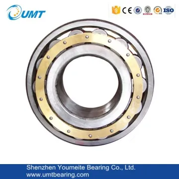 Stainless steel cylindrical roller bearing
