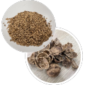 Walnut Shell Base Hard Carbon