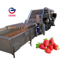 Strawberry Cleaning Washer Blueberry Washing Drying Machine