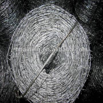 barbed wire fence posts