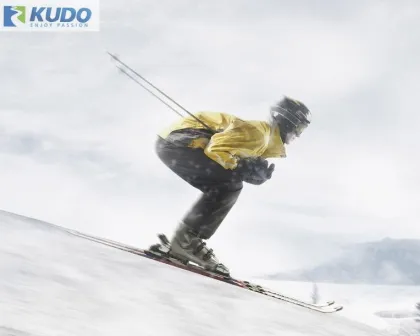 Popular Heated Aluminum Ski Poles Manufacturers