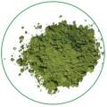 NOP and EU certified pure natural wheatgrass powder