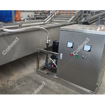 Commercial Ozone Making Machine for salad washing line