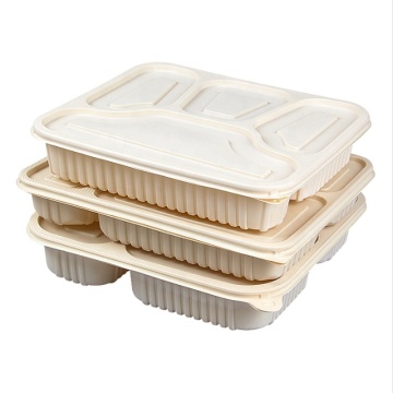 Eco Friendly Biodegradable Food Packaging for Restaurants