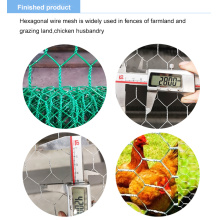 PVC coated chicken mesh
