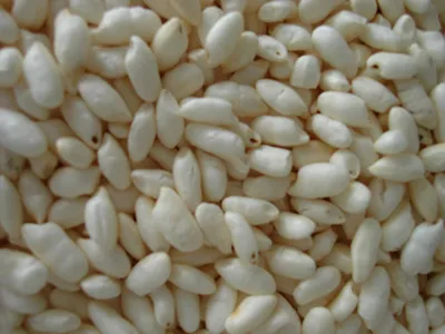 DRW-50 Air pop rice machine