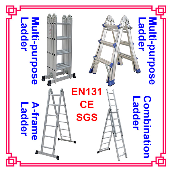 Sgs en131 ladder best sale