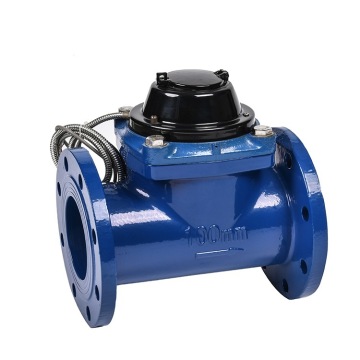 Woltman Water Meter with Pulse Output