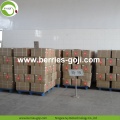 Factory Supply Nutrition Dried Lycium Berry
