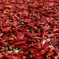 Sichuan pepper/cut pepper/dried pepper/red pepper