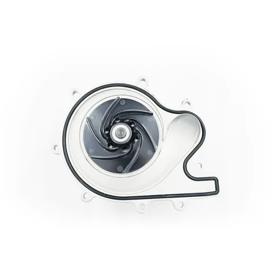 Factory Direct Original Small Stainless Steel Water Pump for Light Truck Engines: Part Number 1041100FE010