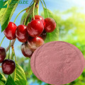 Pure natural Acerola Cherry Extract Powder
